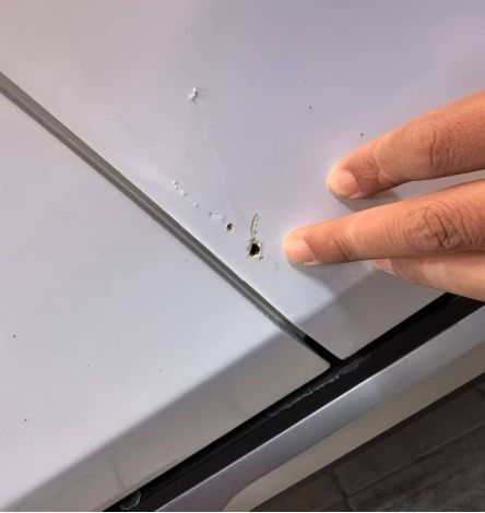 ”锈迹车门秒变新车主：这售后绝了！龙8手机登录入口吉利售后“神仙操作(图3)