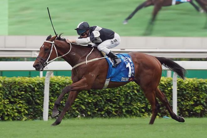 罩夺魁家族曾养香港马王龙8囯际王经纬赛驹戴眼(图2)