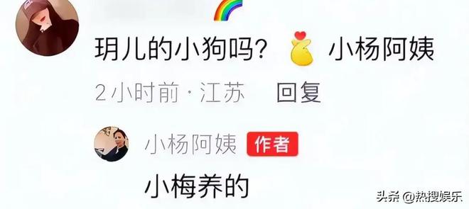 梅发声首次公开俩孩子居住环境小杨阿姨回怼黑粉为大S和马筱(图2)