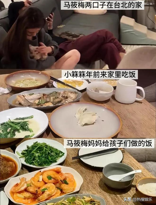 梅发声首次公开俩孩子居住环境小杨阿姨回怼黑粉为大S和马筱(图4)